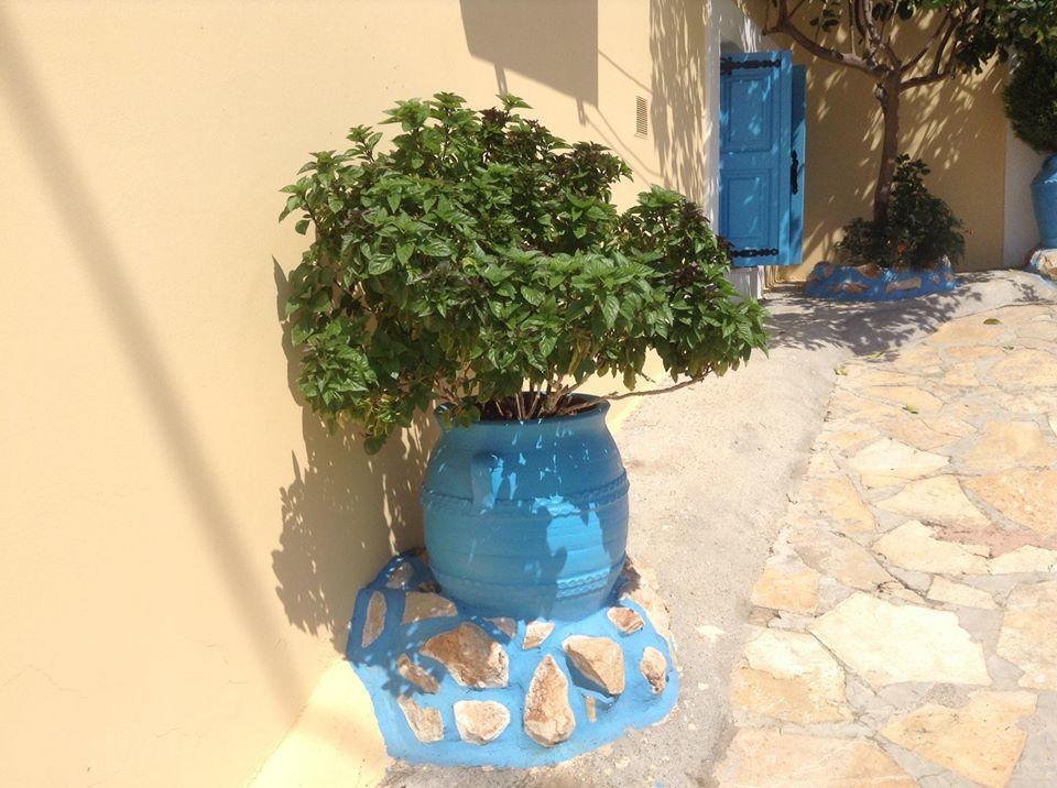 Villa Efraim Amalia Chalki Town Exterior photo